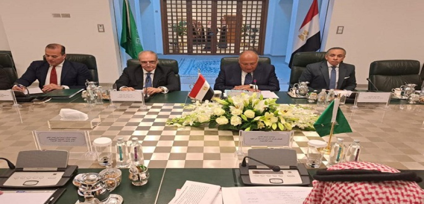 بالصور.. مصر والسعودية تؤكدان أهمية استمرار التنسيق لمواجهة التحديات الماثلة أمام الطرفين وفي المنطقة