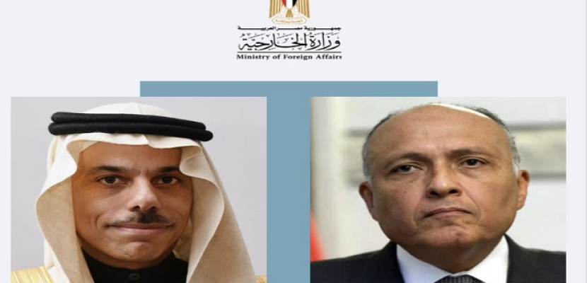 وزيرا خارجية مصر والسعودية يُشاركان في الجولة الخامسة لاجتماع لجنة المتابعة والتشاور