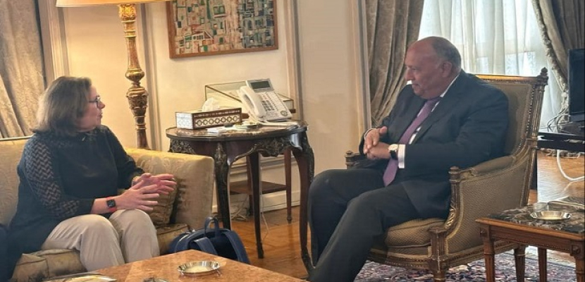 وزير الخارجية يؤكد أهمية دور القوة متعددة الجنسيات في سيناء لترسيخ السلام
