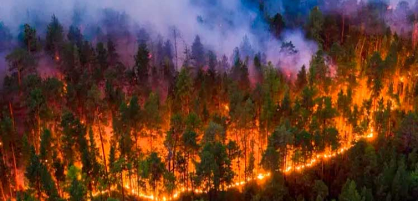 تشيلي تمدد “حالة الكارثة” لمدة 30 يوما في المناطق المتضررة من حرائق الغابات