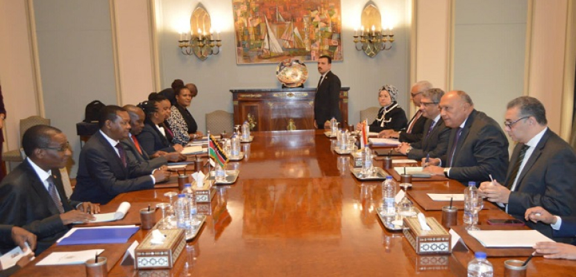 بالصور.. وزير الخارجية يعقد جلسة مباحثات مع نظيره الكيني
