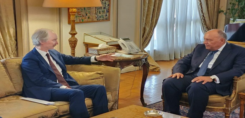 وزير الخارجية يشدد على أهمية إحياء العملية السياسية لتسوية الأزمة السورية