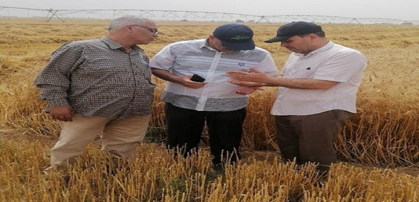 بالصور .. وزير الزراعة يتابع حصاد وتوريد القمح.. ويشيد بالفلاحين والعاملين في الإدارات المعنية