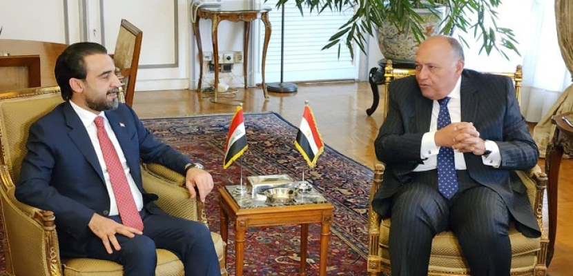 بالصور .. وزير الخارجية يؤكد دعم مصر الكامل لأمن واستقرار العراق وجهوده في الحرب على الإرهاب