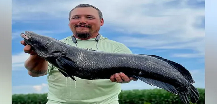 أمريكي يحطم الرقم القياسي باصطياد أكبر سمكة ثعبان بالعالم