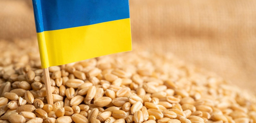 أوكرانيا تعلن حصاد 75.7 مليون طن من الحبوب والبذور الزيتية