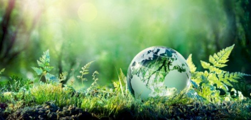 البيئة في 2023 .. إنجازات مثمرة في ملف الاستثمار البيئي بعدد من المجالات