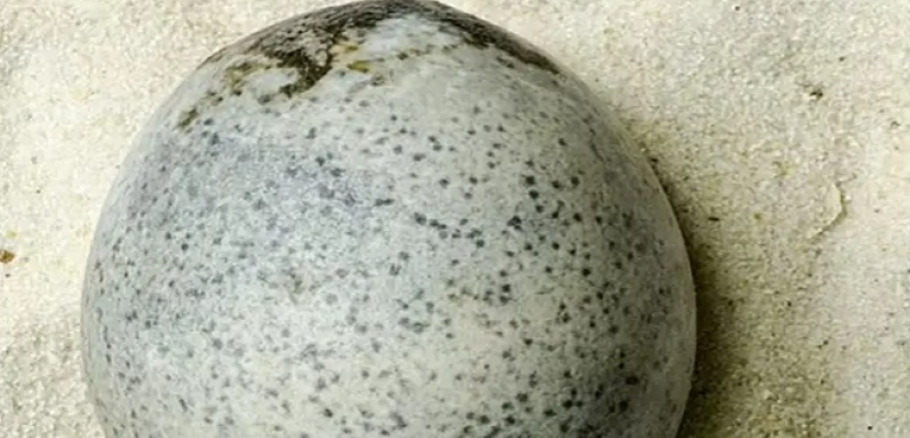 اكتشاف بيضة أثرية ونادرة.. عمرها 1700 عام ومازالت سليمة
