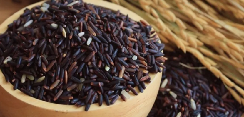 “الأرز الأسود”.. كنز من الفوائد الغذائية الكثيرة !!