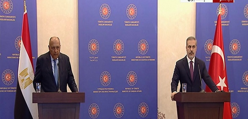وزير الخارجية : نعمل مع الجانب التركي لتحقيق الأمن والاستقرار في المنطقة