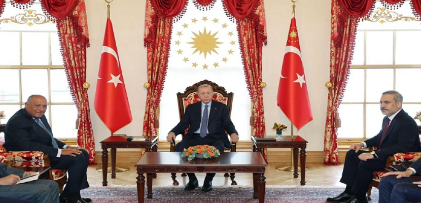 خلال لقائه أردوغان بإسطنبول.. شكري: زيارتي لإسطنبول جاءت ضمن الإعداد لزيارة الرئيس السيسي إلى تركيا