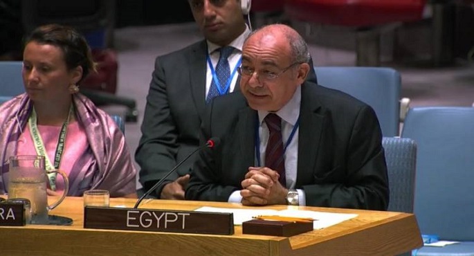 مصر تؤكد أهمية التحرك العاجل للحفاظ على الأمن الغذائى فى أفريقيا لمواجهة تداعيات كورونا المستجد