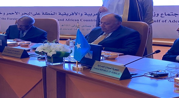 مصر توقع على ميثاق تأسيس مجلس الدول العربية والأفريقية المطلة على البحر الأحمر وخليج عدن