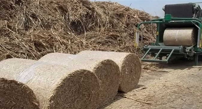 باستثمارات 210 ملايين يورو .. مشروع جديد لإنتاج ألواح خشبية من قش الأرز