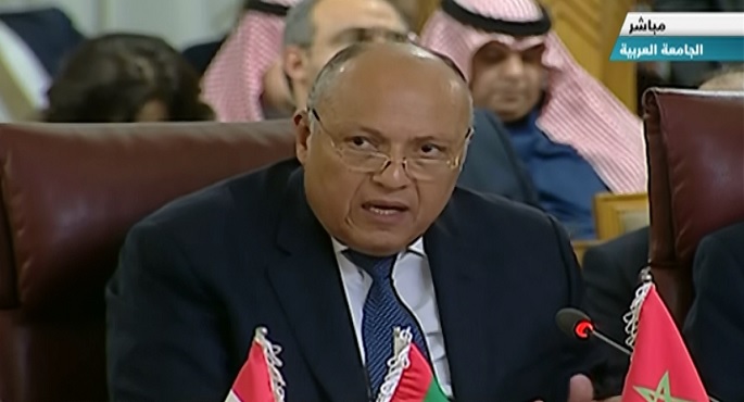 بالفيديو .. شكرى يؤكد موقف مصر الداعم لإقامة الدولة الفلسطينية المستقلة وعاصمتها القدس الشرقية
