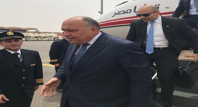 بالصور.. شكري يصل النيجر آخر محطة في جولته الأفريقية