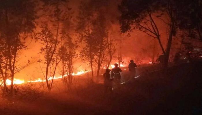 روسيا : إخماد 52 حريقا فى الغابات خلال يوم