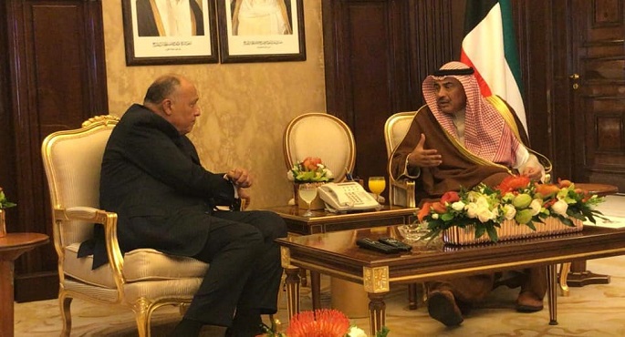 شكري يعرب عن تقدير مصر للعلاقات الوطيدة مع الكويت