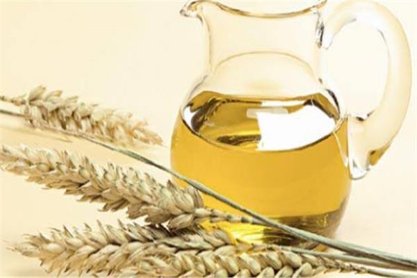 قبل العيد.. بشرتك صافية بزيت جنين القمح