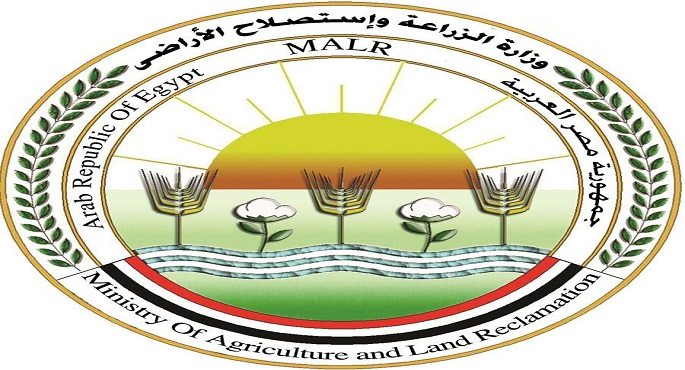 “الزراعة”: تحصين 700 ألف رأس ماشية ضد مرض الحمى القلاعية