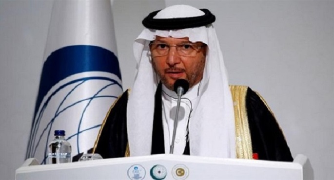 الأمين العام لمنظمة التعاون الإسلامي: الدول الغربية تأخرت في تجريم الإخوان
