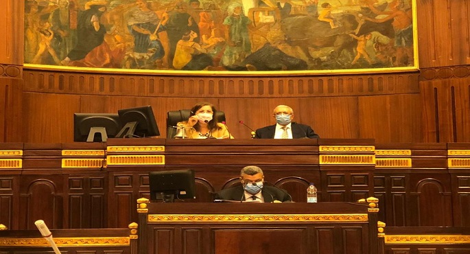 وزيرة التخطيط أمام النواب: دستور 2014 تضمن الحقوق الاقتصادية والاجتماعية للمواطنين