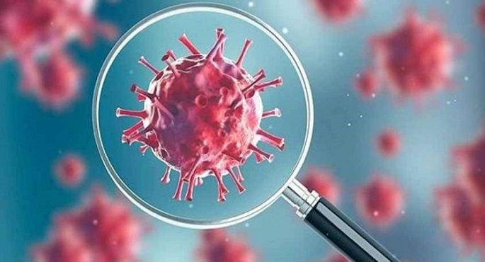 دراسة : هرمون الأستروجين لدى النساء يساعد فى تقليل حدة فيروس كورونا