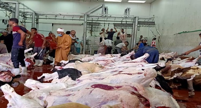 الأوقاف : الإشراف على ذبح الأضاحى متواصل طوال أيام التشريق