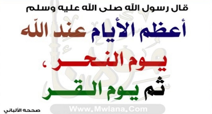 ثانى أيام عيد الاضحى .. يوم القر .. سبب تسميته وفضله وحكم صيامه ؟