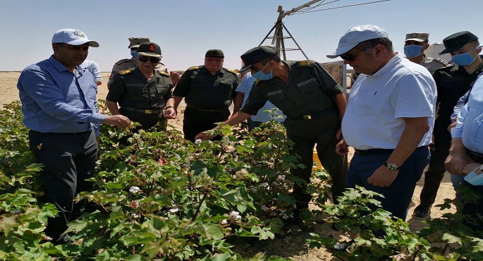 بالصور.. وزير قطاع الأعمال العام يتفقد تجربة زراعة القطن قصير التيلة بشرق العوينات