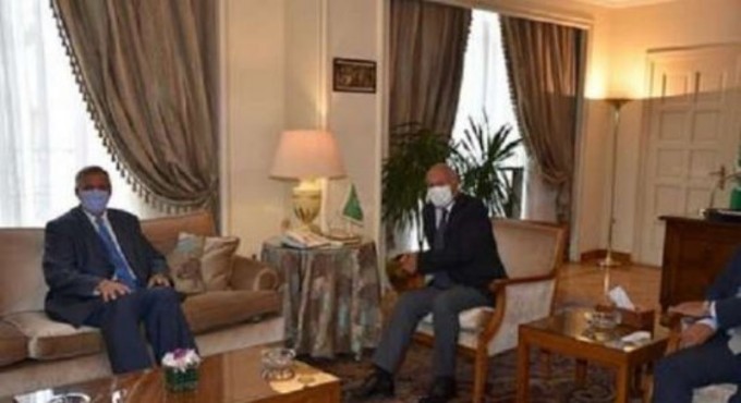 أبو الغيط يستقبل منسق الأمم المتحدة للبنان ويؤكد أهمية الإسراع بتشكيل حكومة جديدة في لبنان