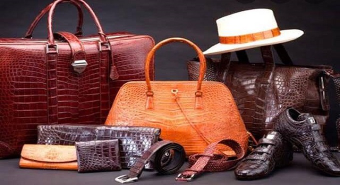 المصنوعات الجلدية: زيادة مبيعات القطاع بنحو 25 % مع اقتراب بداية العام الدراسي الجديد