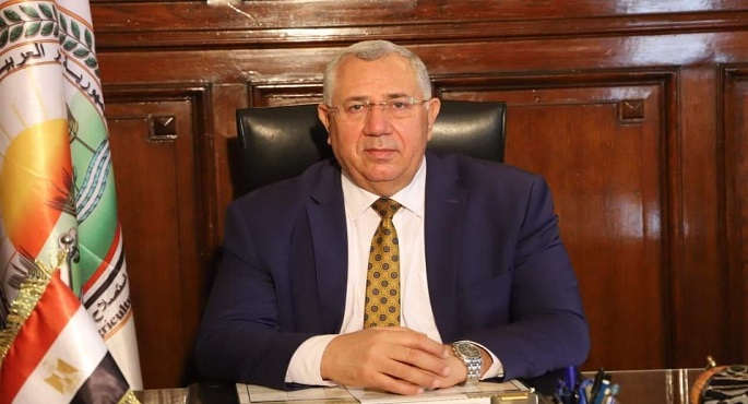الزراعة: صادرات مصر من البطاطس تتجاوز ال 380 ألف طن هذا العام وروسيا أكبر مستورد