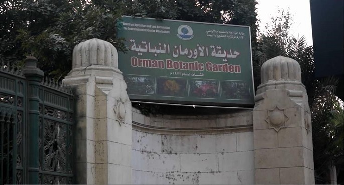 مهرجان العسل يواصل فعالياته بحديقة الاورمان في الجيزة