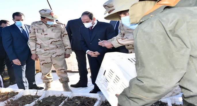 بالفيديو.. الرئيس السيسي يتفقد مشروع الفيروز للاستزارع السمكي ببورسعيد