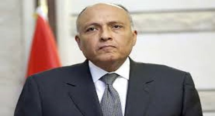 شكرى: مصر تتعامل مع قضية الهجرة وفقا لرؤية استراتيجية