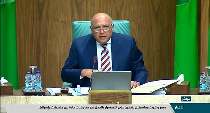 شكري: تحقيق الاستقرار الدائم في ليبيا يتطلب وقف التدخلات الخارجية واستمرار احترام وقف إطلاق النار