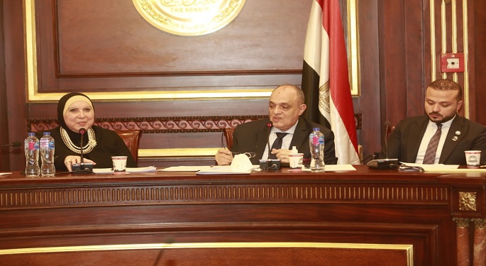 وزيرة الصناعة: باب التقديم مفتوح أمام المستثمرين للحصول على وحدات بالمجمعات الصناعية الجديدة