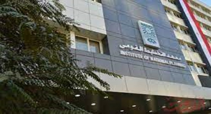 معهد التخطيط : مصر تسعى للتوطين التكنولوجي للصناعات الاستراتيجية
