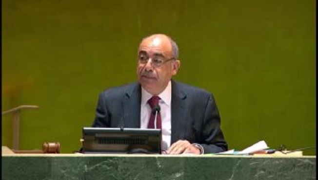 سفير مصر لدى الأمم المتحدة: قضية فلسطين هى قضية مصر والعرب