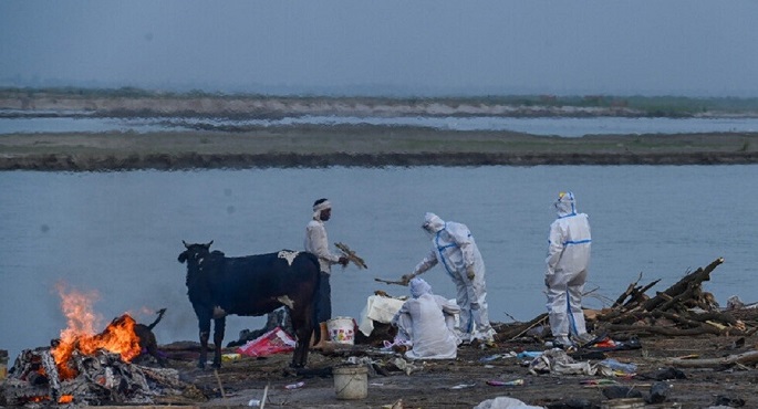 إعلان وباء “العفن الأسود” في ولايتين بالهند