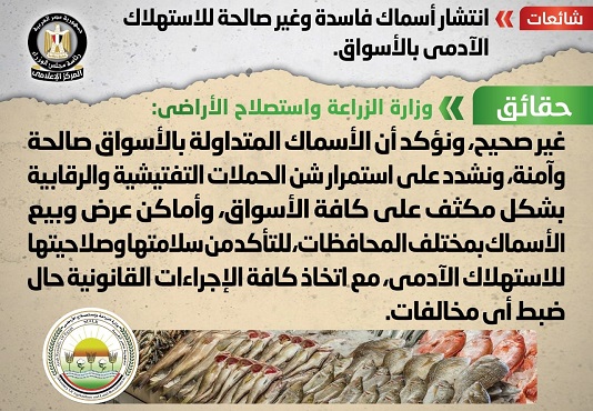 الحكومة تنفي انتشار أسماك فاسدة وغير صالحة للاستهلاك الآدمي بالأسواق