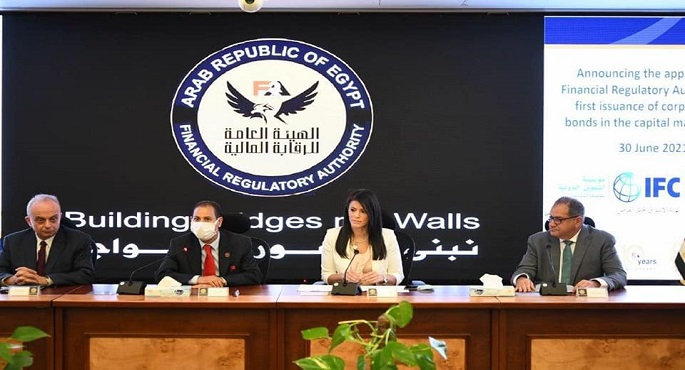 المشاط : 1.9 مليار دولار تمويلات من شركاء التنمية للقطاع الخاص خلال النصف الأول من العام الجاري