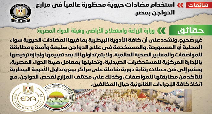 الحكومة تنفي شائعة استخدام مضادات حيوية محظورة عالميًا في مزارع الدواجن