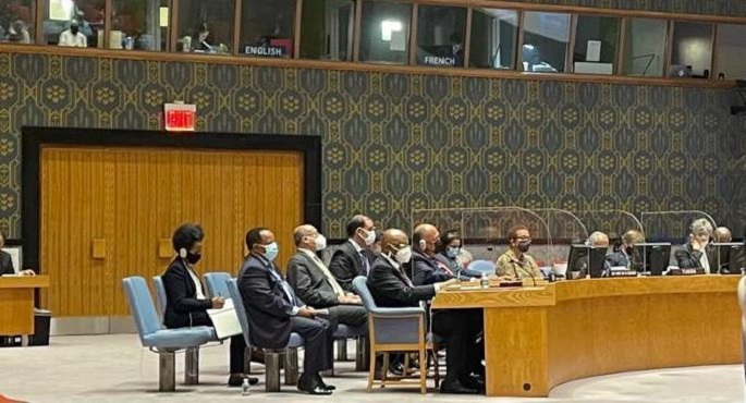 خلال جلسة مجلس الأمن .. وزير الخارجية: مصر تواجه تهديدا وجوديا بسبب بناء كيان هائل على نهر النيل