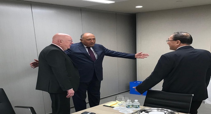 بالصور.. شكري يؤكد لمندوبي روسيا والصين لدى الأمم المتحدة ضرورة اضطلاع مجلس الأمن بمسئولياته تجاه قضية سد النهضة