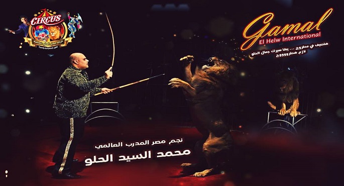 افتتاح سيرك “جمال الحلو العالمي” اليوم بمطروح