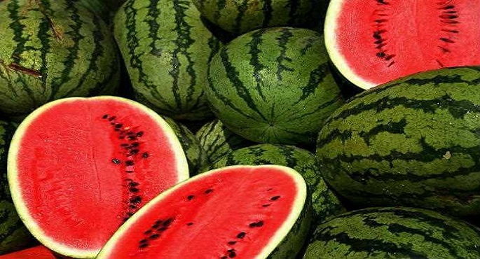 تناول البطيخ يخفض مستويات ضغط الدم ويحميك من أمراض القلب