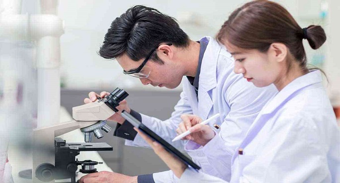 علماء يابانيون يستنبطون بويضات لجرزان قابلة للحياة من الصفر لأول مرة