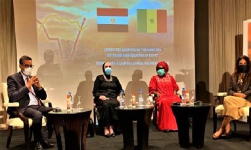 بالصور.. وزيرة الصناعة إفريقيا في مرحلة جديدة من التكامل الاقتصادي الإقليمي باطلاق منطقة التجارة الحرة